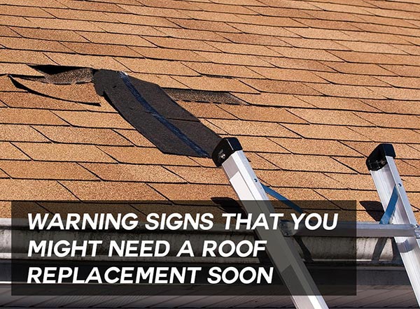 Warning Signs That You Might Need a Roof Replacement Soon