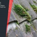 Repair or Replace? Roofing Signs to Look Out For
