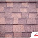 Preventing Algae Infestation on Asphalt Shingle Roofs