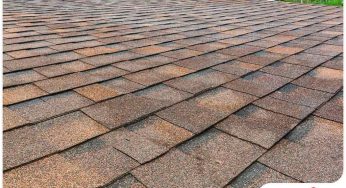 Moisture Problems on Roofing Systems: What You Need to Know