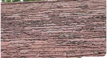 When Does a Roof Need Repairs?