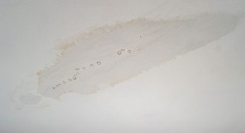 Why You Should Not Delay Roof Replacement