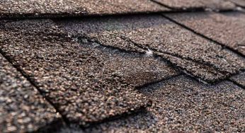 Is Granule Loss in Asphalt Shingles a Big Deal