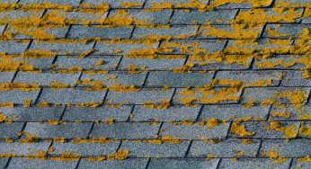 How Can Humidity Affect Roofing Systems?
